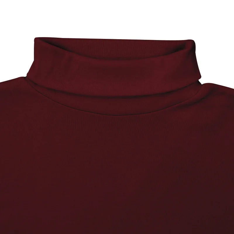 Mens Wine Red Turtleneck Sweater