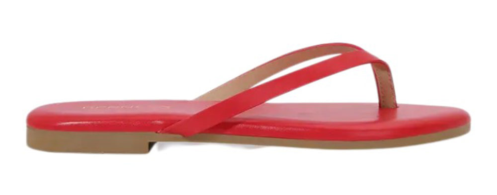 KIMORA Red Berness-1